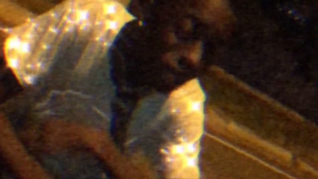 Dark G - Pink Crocs (video official)🎀🛍