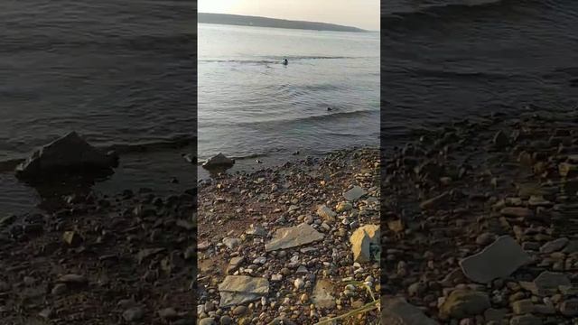 Охотник