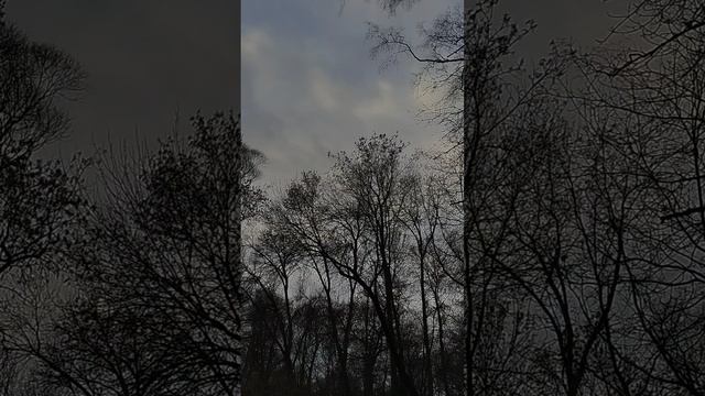 10.12.24 АЗ #ниднябезрифмы