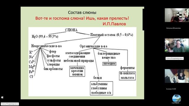 9 класс_20.12_30_Пищеварение в ротовой полости