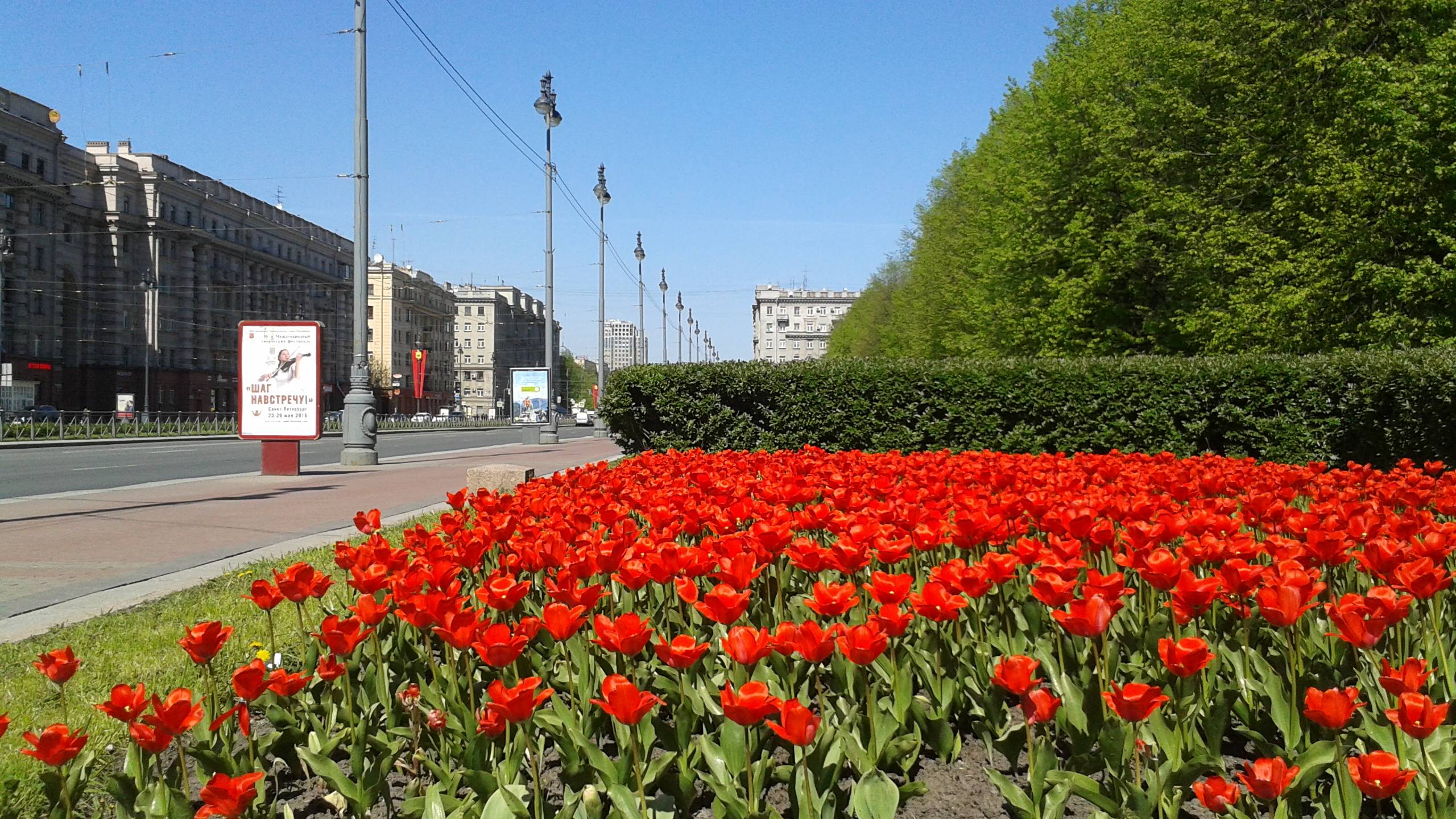 Петергоф