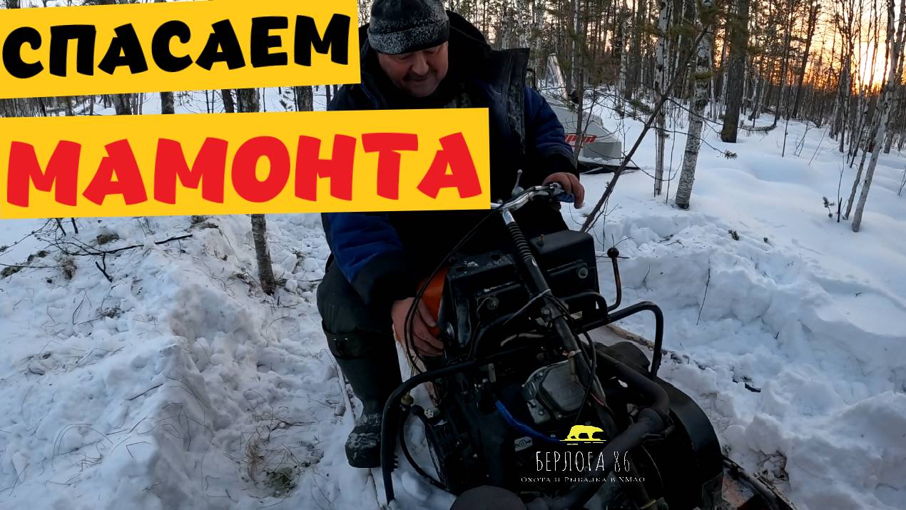 КАК МЫ БУРАН ВЫТАСКИВАЛИ ИЗ ЛЕСА ) МАМОНТЫ СУЩЕСТВУЮТ)
