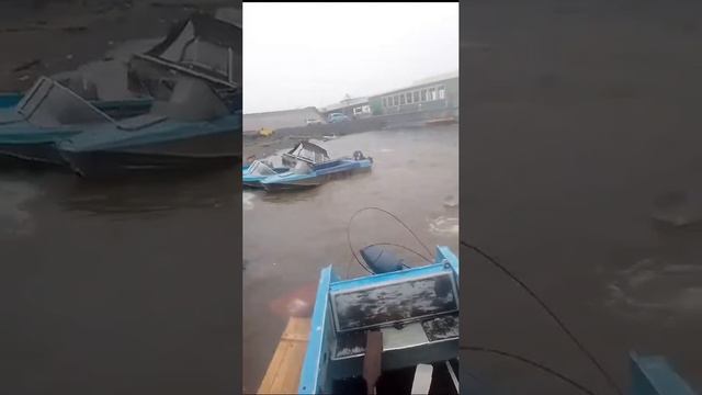 1000014522.mp4