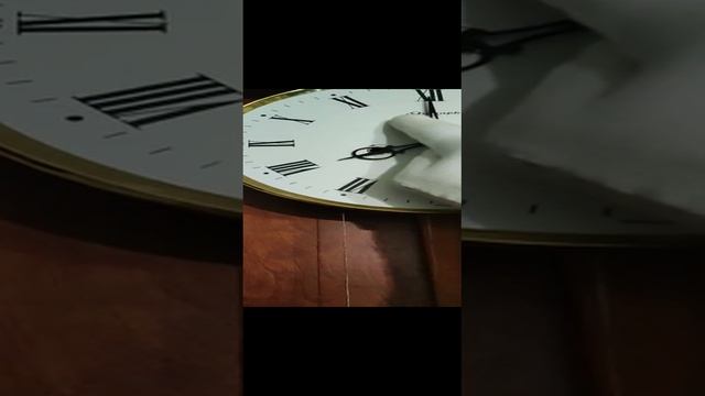 VID-20221022-WA0001.mp4