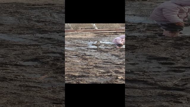 VID_20240324_172010.mp4