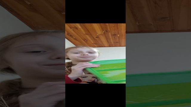 обзор на самую большую сумку.