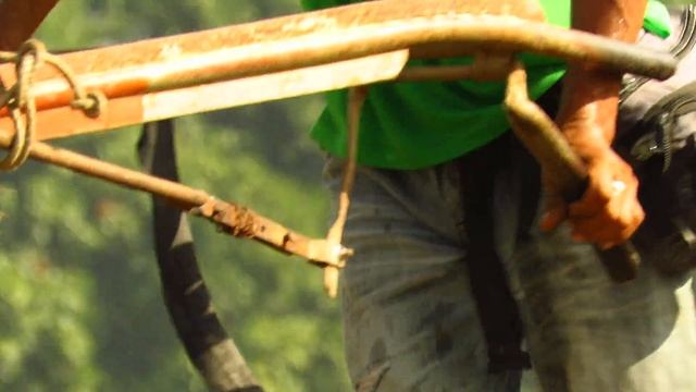 13456884-hd_1920_1080_60fps