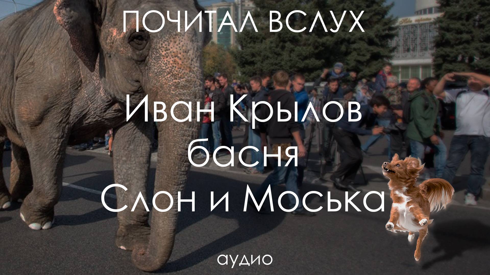 Почитал вслух басню Крылова «Слон и Моська»