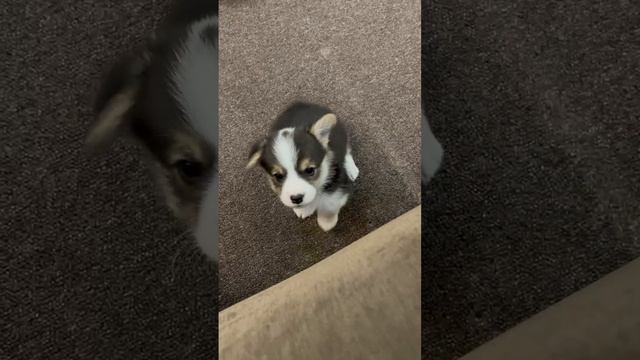 1000077647.mp4