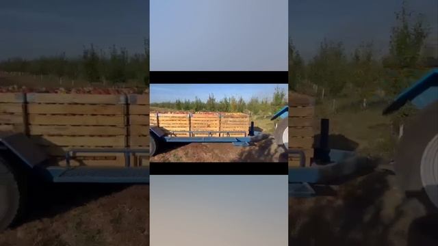 Плодовоз КС-7
