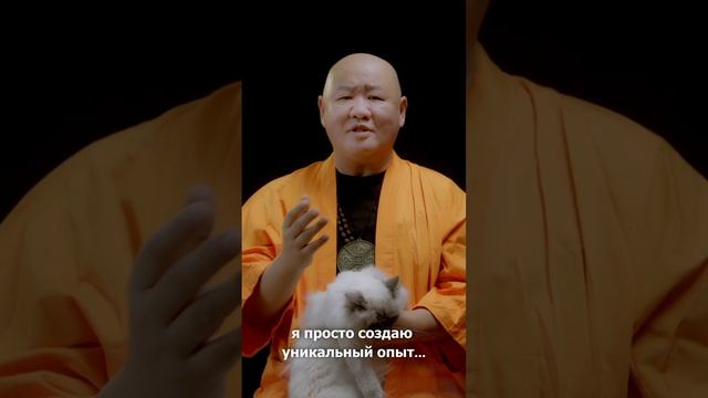 Я никогда не ошибаюсь! #монах #кот #юмор