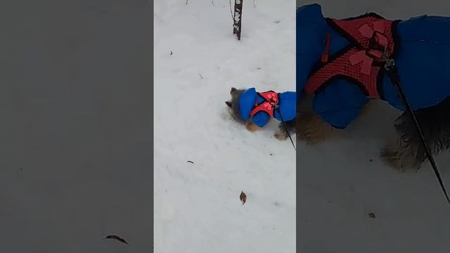 На прргулке