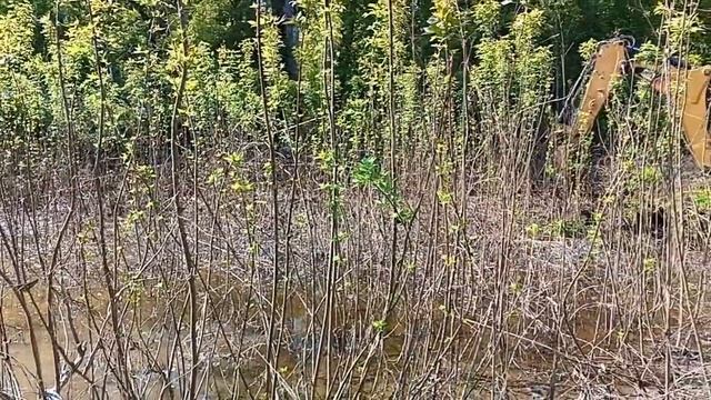 Убираем остатки воды с поселка