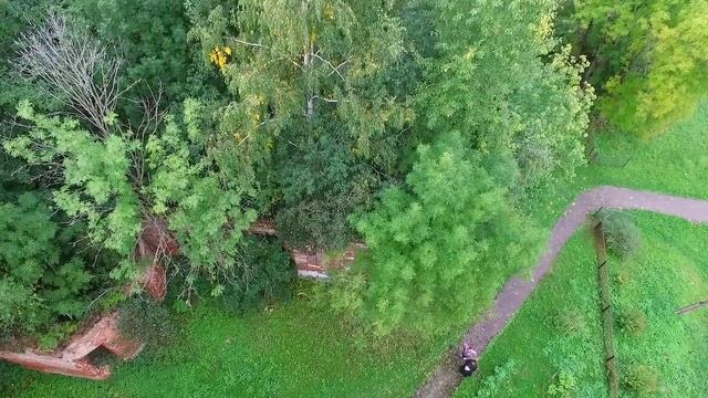 Деревня Семёновщина с высоты птичьего полета. Новгородская область. 2015