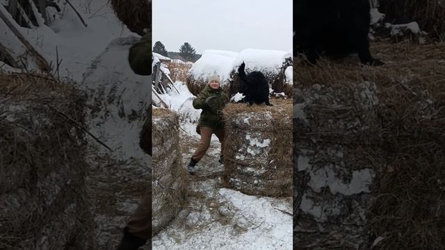 собака хочет в цирк.mp4