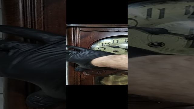 VID_20230609_173504.mp4