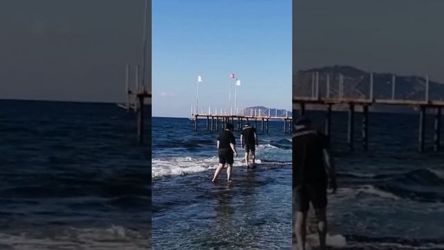 20 декабря БЕРЕГ МАХМУТЛАРА. ТУРЦИЯ 2024.