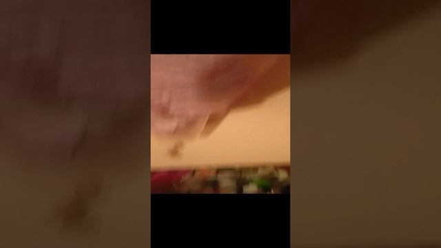 Букет из бабочек и не только 🦋🌹
