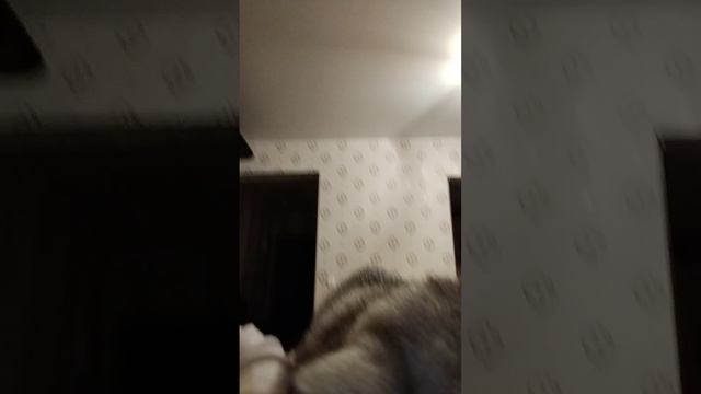 1000008526.mp4