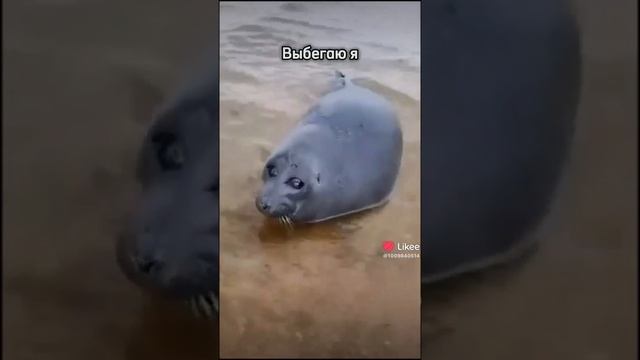 1000008130.mp4