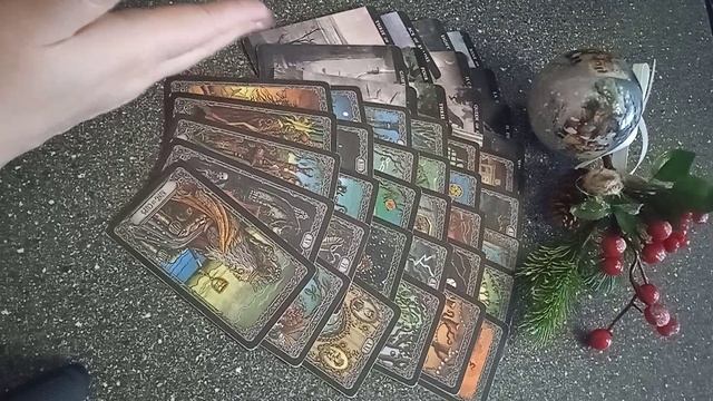 VID_20241220_101035.mp4