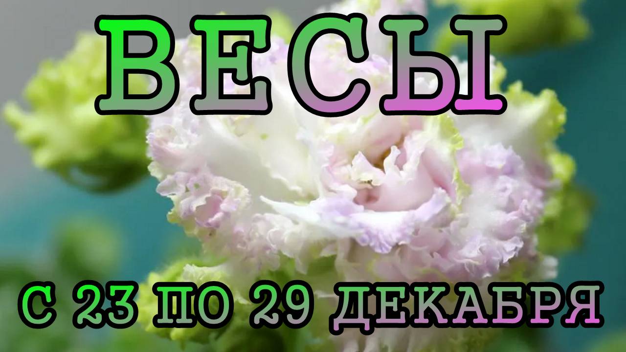 ВЕСЫ таро прогноз на неделю с 23 по 29 ДЕКАБРЯ 2024 года.
