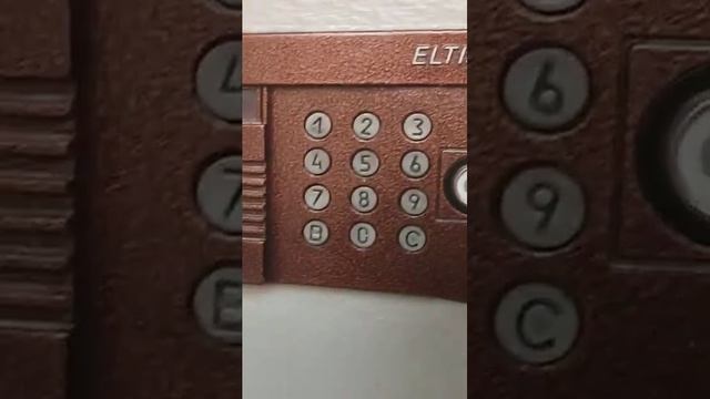1000061858.mp4