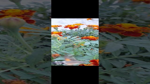 20-12-2024