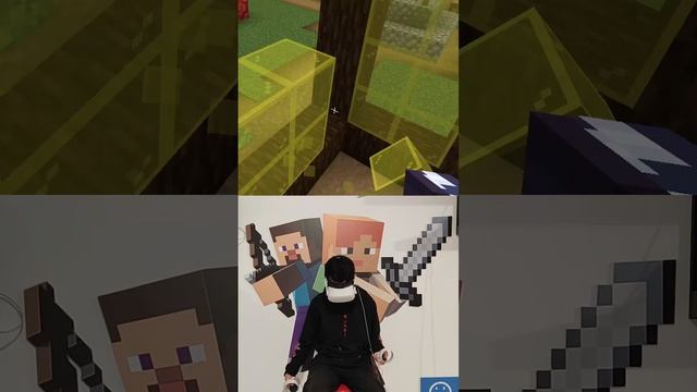 VR Minecraft home reconstruction with flag 355 #vr #minecraft #minecraft_reconstruction