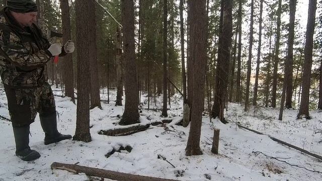 Как Сделать Кулемку на Соболя в Лесу.