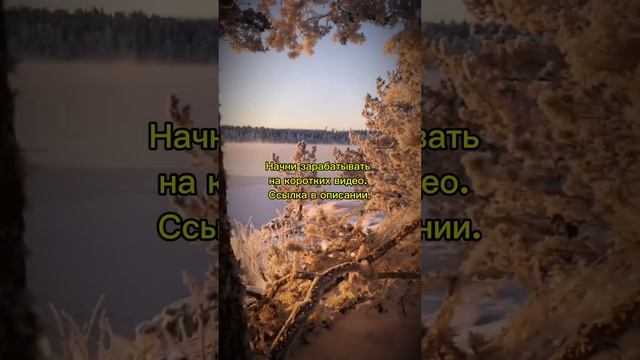 Зимняя красота на закате