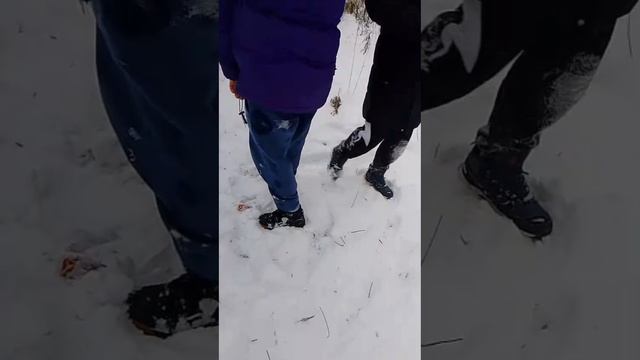 Крот+фольга💥💣