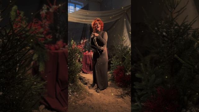 Сказки Велеса - Принцесса и дракон