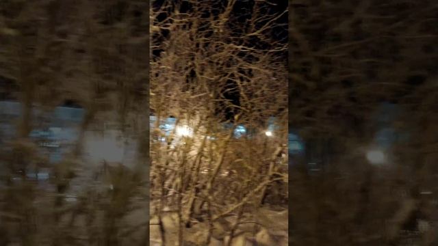 2024-12-19-223914827.mp4 Елена Дружиненко Воркута