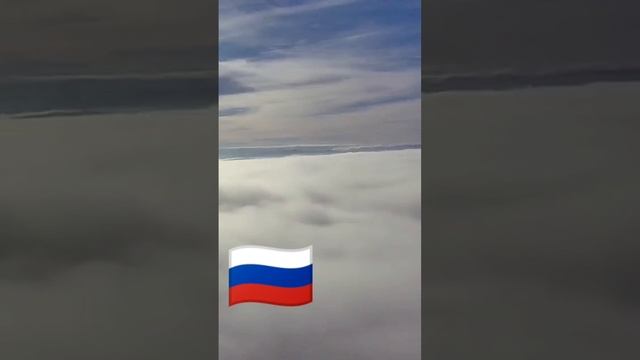 scene_output.mp4
