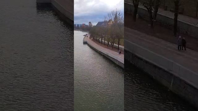 Мосты Калининграда