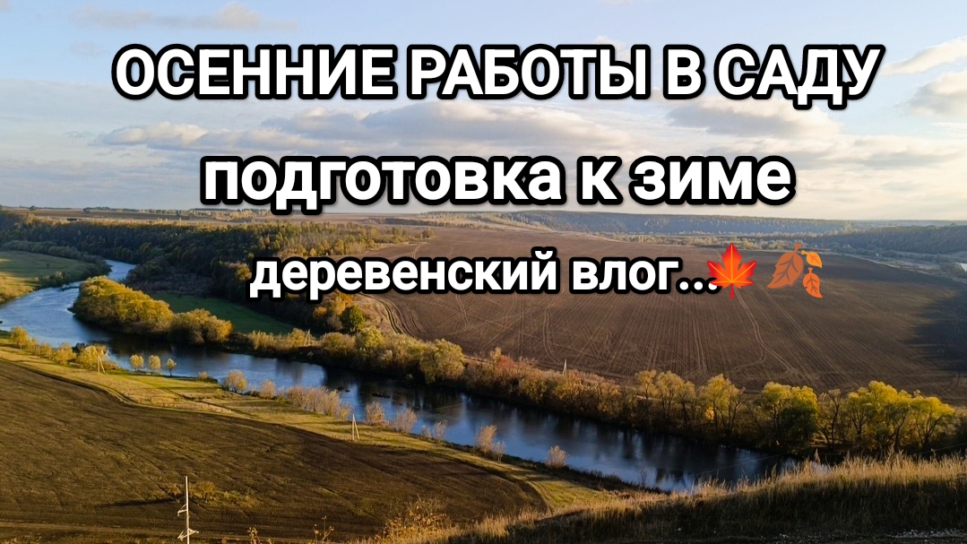 ОСЕННИЕ РАБОТЫ В САДУ// ПОДГОТОВКА К ЗИМЕ// ДЕРЕВЕНСКИЙ ВЛОГ