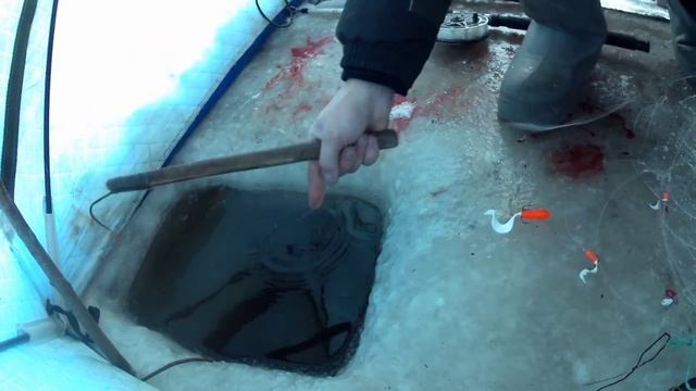 рыбалка на амуре 16.12.24