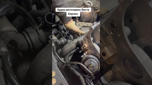 автосервис Веста Берлин Будни