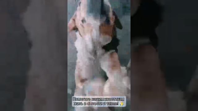 Наши ⏺️🔥ЛУЧИКИ🔥⏺️

Эта неделя выдалась непростой... У нас перемерзли трубы