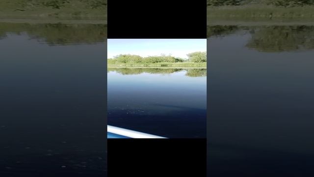 КИТ-390(нднд)Гладиатор9.9про