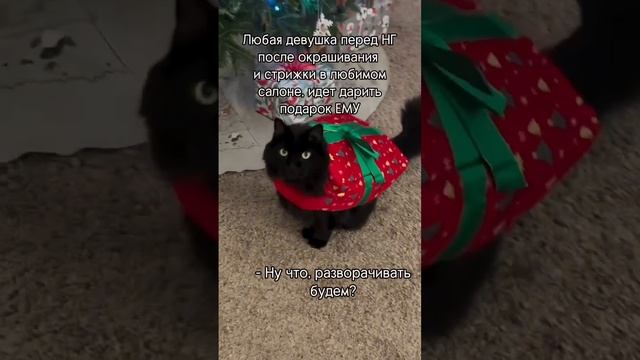 Подарочек 🎁