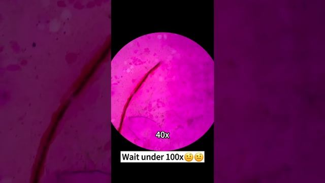 #интересно #микромир #подмикроскопом #наука #микроскоп