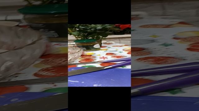 1000066645.mp4