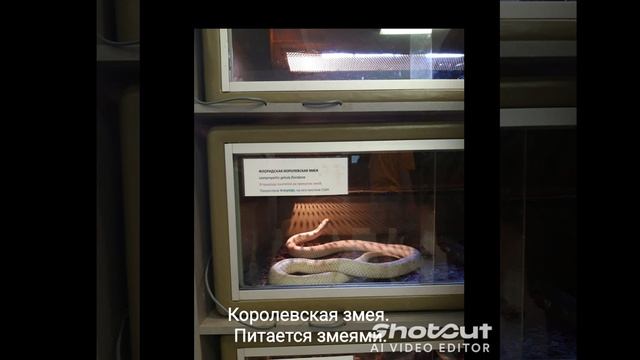 В питомнике Московского зоопарка (г. Волоколамск)