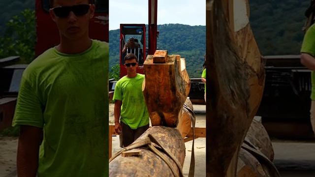 Сочи проект Post and Beam