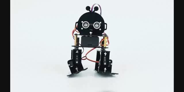 ACEBOTT Biped Robot Kit