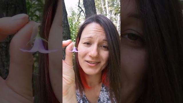Подсказки Зеркала. Цветы и Поток ❤️ Колокольчик