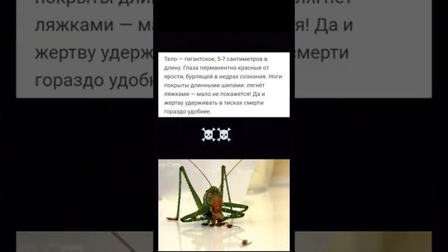Он намного сильнее чем мы думали☠️☠️