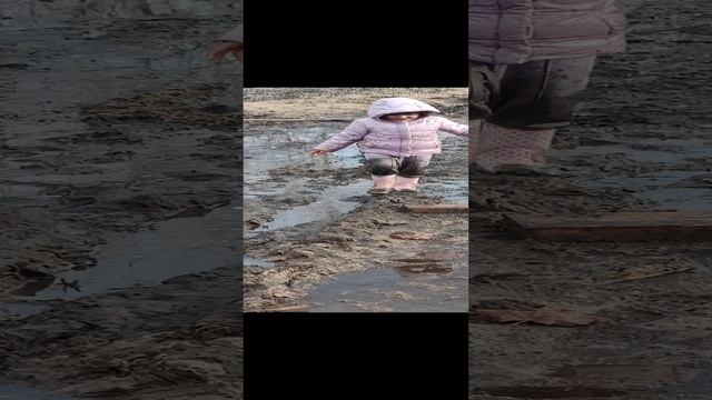 VID_20240324_172609.mp4